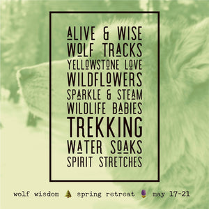 Yellowstone Spring Retreat  - 2025 Wolf Wisdom - Montana Women's Adventure