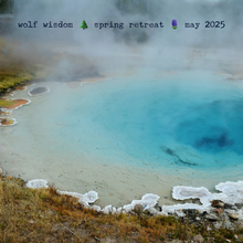 Load image into Gallery viewer, Yellowstone Spring Retreat  - 2025 Wolf Wisdom - Montana Women&#39;s Adventure
