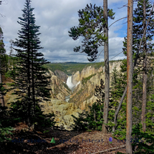 Load image into Gallery viewer, Yellowstone Spring Retreat  - 2025 Wolf Wisdom - Montana Women&#39;s Adventure
