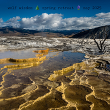 Load image into Gallery viewer, Yellowstone Spring Retreat  - 2025 Wolf Wisdom - Montana Women&#39;s Adventure
