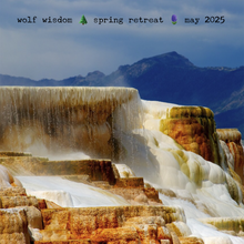 Load image into Gallery viewer, Yellowstone Spring Retreat  - 2025 Wolf Wisdom - Montana Women&#39;s Adventure
